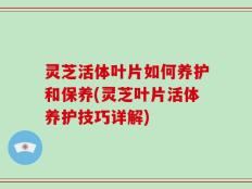 灵芝活体叶片如何养护和保养(灵芝叶片活体养护技巧详解)