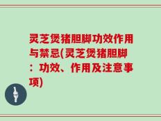 灵芝煲猪胆脚功效作用与禁忌(灵芝煲猪胆脚：功效、作用及注意事项)