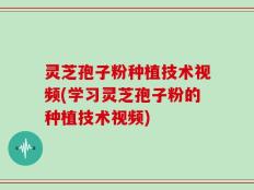 灵芝孢子粉种植技术视频(学习灵芝孢子粉的种植技术视频)