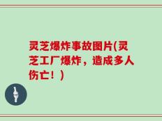 灵芝爆炸事故图片(灵芝工厂爆炸，造成多人伤亡！)