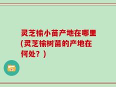 灵芝榆小苗产地在哪里(灵芝榆树苗的产地在何处？)