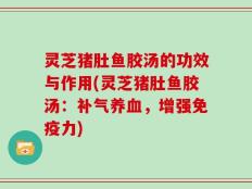 灵芝猪肚鱼胶汤的功效与作用(灵芝猪肚鱼胶汤：补气养血，增强免疫力)