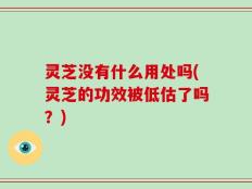 灵芝没有什么用处吗(灵芝的功效被低估了吗？)