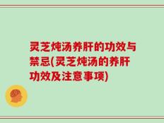 灵芝炖汤养肝的功效与禁忌(灵芝炖汤的养肝功效及注意事项)