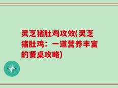 灵芝猪肚鸡攻效(灵芝猪肚鸡：一道营养丰富的餐桌攻略)