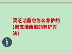 灵芝活菌包怎么养护的(灵芝活菌包的养护方法)