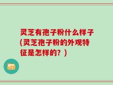 灵芝有孢子粉什么样子(灵芝孢子粉的外观特征是怎样的？)