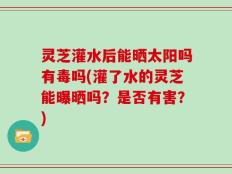灵芝灌水后能晒太阳吗有毒吗(灌了水的灵芝能曝晒吗？是否有害？)