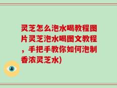 灵芝怎么泡水喝教程图片灵芝泡水喝图文教程，手把手教你如何泡制香浓灵芝水)