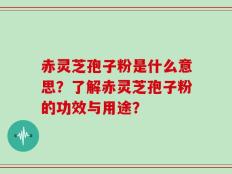 赤灵芝孢子粉是什么意思？了解赤灵芝孢子粉的功效与用途？