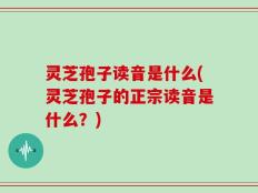 灵芝孢子读音是什么(灵芝孢子的正宗读音是什么？)