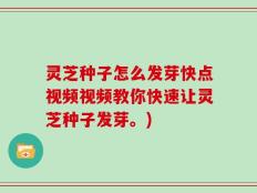 灵芝种子怎么发芽快点视频视频教你快速让灵芝种子发芽。)