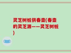 灵芝树桩供春壶(春壶的灵芝源——灵芝树桩)