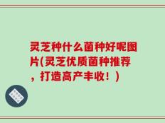 灵芝种什么菌种好呢图片(灵芝优质菌种推荐，打造高产丰收！)