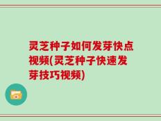 灵芝种子如何发芽快点视频(灵芝种子快速发芽技巧视频)