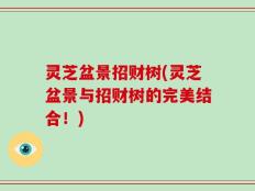 灵芝盆景招财树(灵芝盆景与招财树的完美结合！)