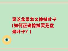 灵芝盆景怎么擦拭叶子(如何正确擦拭灵芝盆景叶子？)