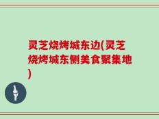 灵芝烧烤城东边(灵芝烧烤城东侧美食聚集地)