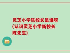 灵芝小学陈校长是谁呀(认识灵芝小学新校长陈先生)