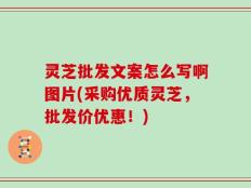 灵芝批发文案怎么写啊图片(采购优质灵芝，批发价优惠！)