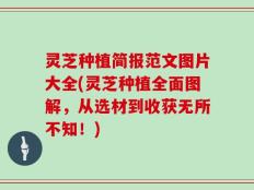 灵芝种植简报范文图片大全(灵芝种植全面图解，从选材到收获无所不知！)