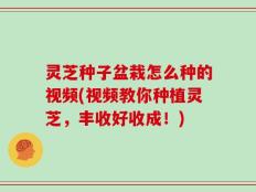 灵芝种子盆栽怎么种的视频(视频教你种植灵芝，丰收好收成！)