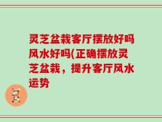 灵芝盆栽客厅摆放好吗风水好吗(正确摆放灵芝盆栽，提升客厅风水运势