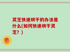 灵芝快速烘干的办法是什么(如何快速烘干灵芝？)