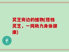 灵芝旁边的植物(搭档灵芝，一同助力身体健康)