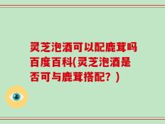 灵芝泡酒可以配鹿茸吗百度百科(灵芝泡酒是否可与鹿茸搭配？)