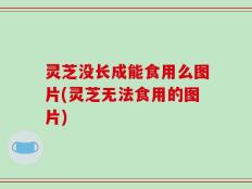 灵芝没长成能食用么图片(灵芝无法食用的图片)