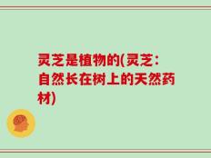 灵芝是植物的(灵芝：自然长在树上的天然药材)