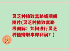 灵芝种植致富路线图解图片(灵芝种植致富路线图解：如何进行灵芝种植赚取丰厚利润？)