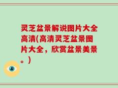 灵芝盆景解说图片大全高清(高清灵芝盆景图片大全，欣赏盆景美景。)