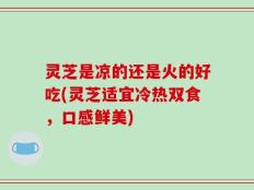 灵芝是凉的还是火的好吃(灵芝适宜冷热双食，口感鲜美)