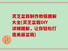 灵芝盆栽制作教程图解大全(灵芝盆栽DIY详细图解，让你轻松打造美丽盆栽)