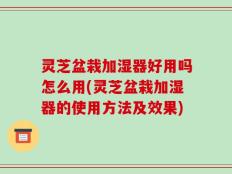 灵芝盆栽加湿器好用吗怎么用(灵芝盆栽加湿器的使用方法及效果)