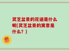 灵芝盆景的花语是什么呢(灵芝盆景的寓意是什么？)