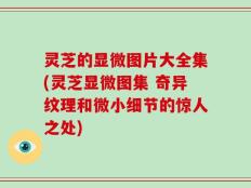 灵芝的显微图片大全集(灵芝显微图集 奇异纹理和微小细节的惊人之处)