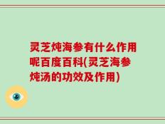 灵芝炖海参有什么作用呢百度百科(灵芝海参炖汤的功效及作用)