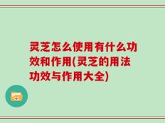 灵芝怎么使用有什么功效和作用(灵芝的用法功效与作用大全)
