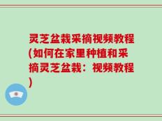 灵芝盆栽采摘视频教程(如何在家里种植和采摘灵芝盆栽：视频教程)