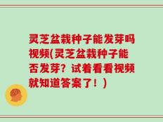 灵芝盆栽种子能发芽吗视频(灵芝盆栽种子能否发芽？试着看看视频就知道答案了！)