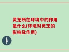 灵芝所在环境中的作用是什么(环境对灵芝的影响及作用)