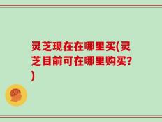 灵芝现在在哪里买(灵芝目前可在哪里购买？)