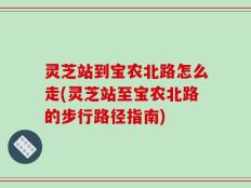 灵芝站到宝农北路怎么走(灵芝站至宝农北路的步行路径指南)