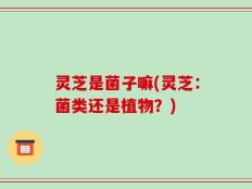灵芝是菌子嘛(灵芝：菌类还是植物？)