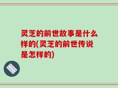 灵芝的前世故事是什么样的(灵芝的前世传说是怎样的)
