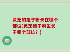 灵芝的孢子粉长在哪个部位(灵芝孢子粉生长于哪个部位？)