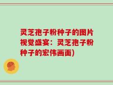 灵芝孢子粉种子的图片视觉盛宴：灵芝孢子粉种子的宏伟画面)